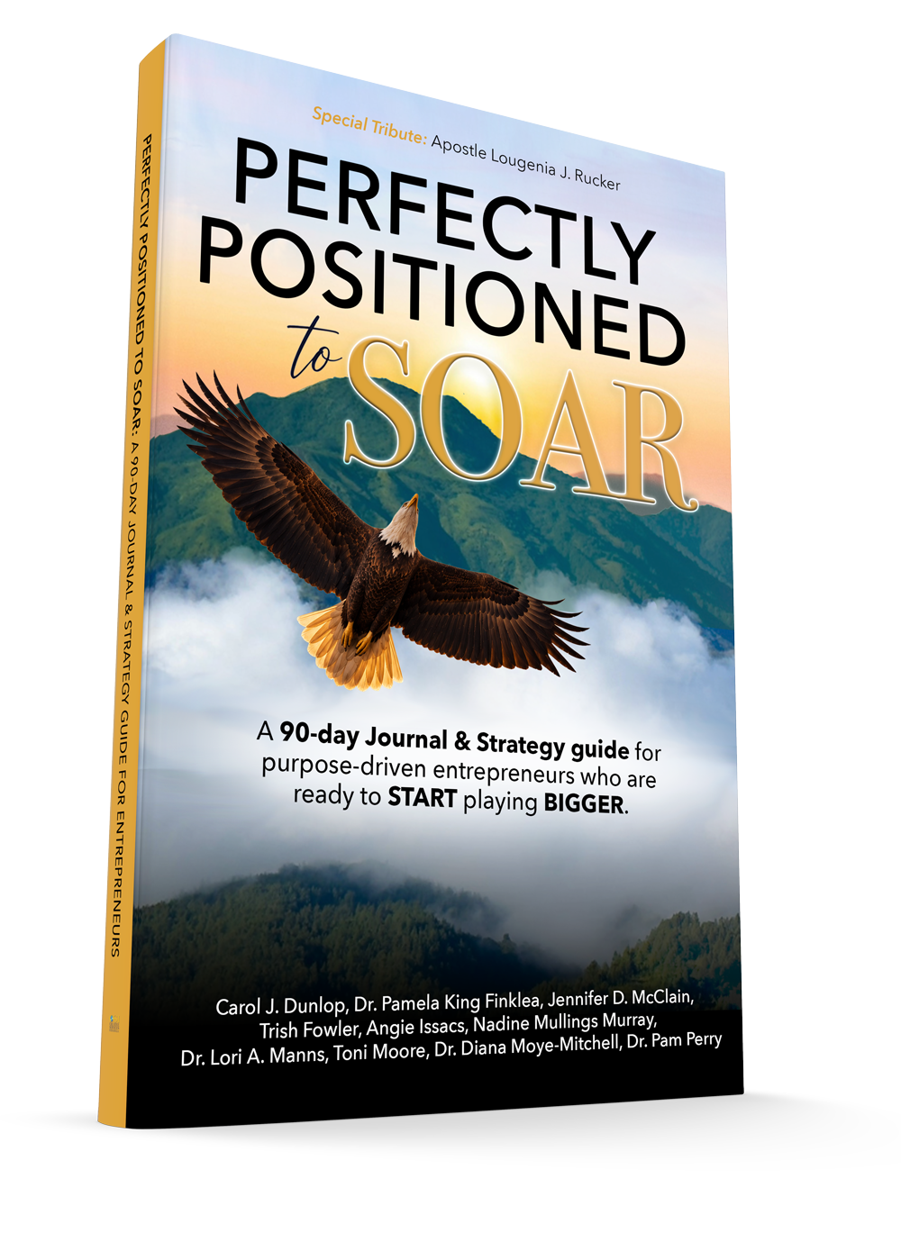 Perfectly Positioned to Soar